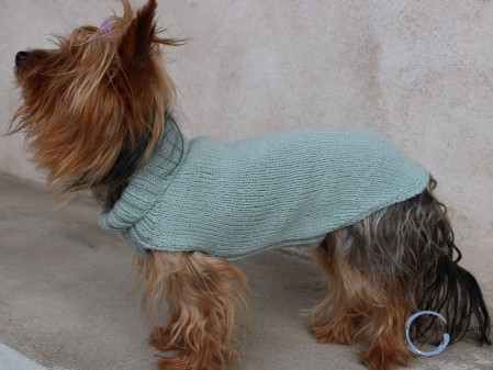 istruzioni maglioncino cane a maglia